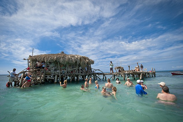 pelican bar jamaica
